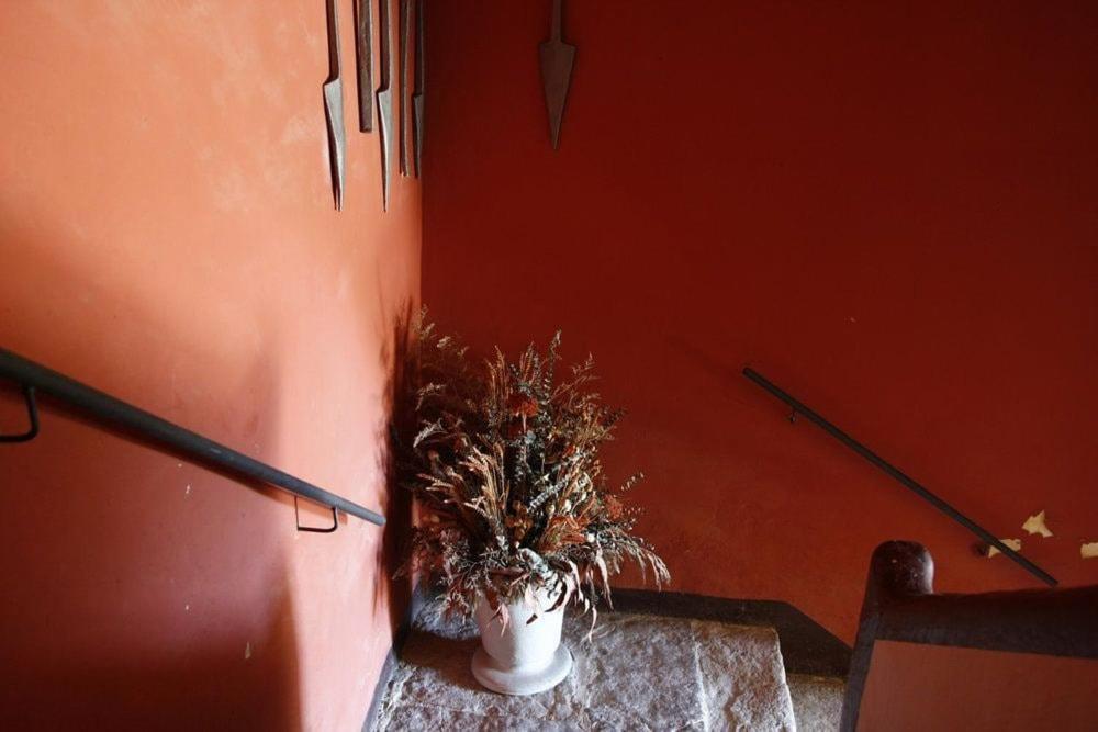 Masia Cal Millas - Turisme Rural Castellfullit de Riubregos Exteriör bild